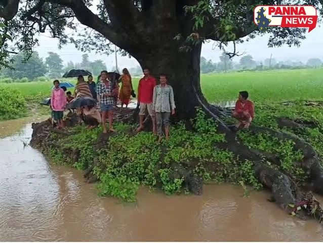 पन्ना: बाघिन नदी उफान पर और उमरी गांव जलमग्न