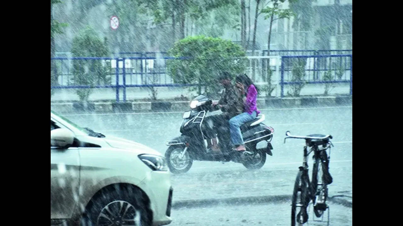 Gujarat Schools Plan Weekend Classes to Recover Lost Time Due to Heavy Rains