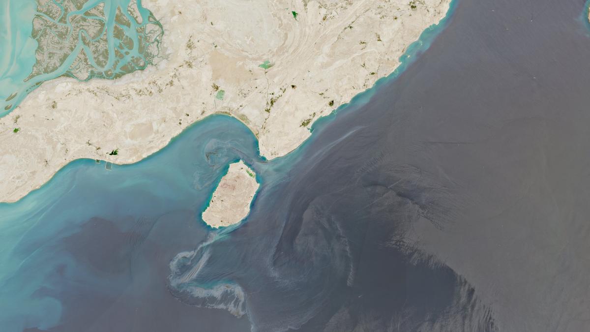 Oil Spill Endangers Hara Mangrove Forests in the Persian Gulf