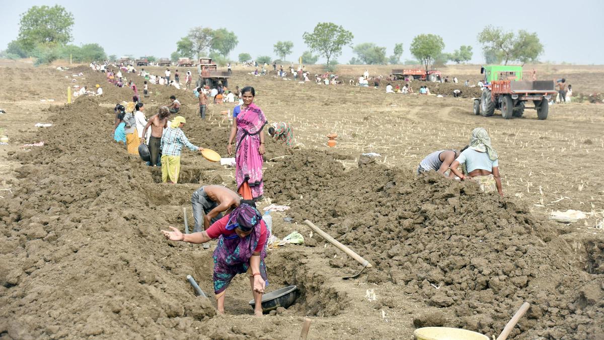 States Challenge VB-G RAM G Over Policy Concerns and Implementation Issues