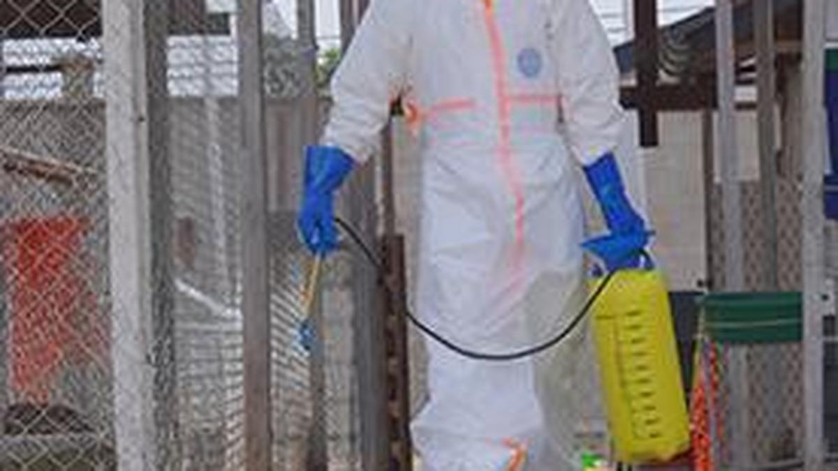 Congo's Deadliest Ebola Outbreak Claims Over 2,300 Lives, Setting Grim Record