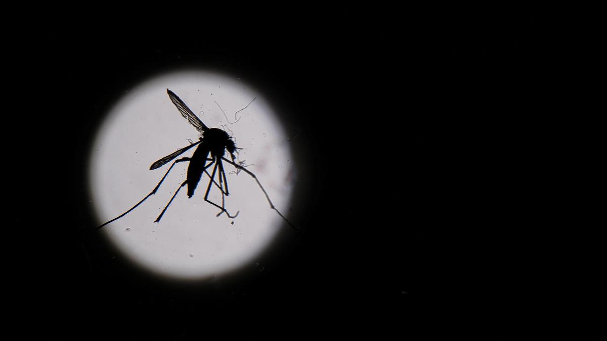 Dengue Cases Surge in West Bengal: Over 4,000 Infected, Seven Fatalities Reported