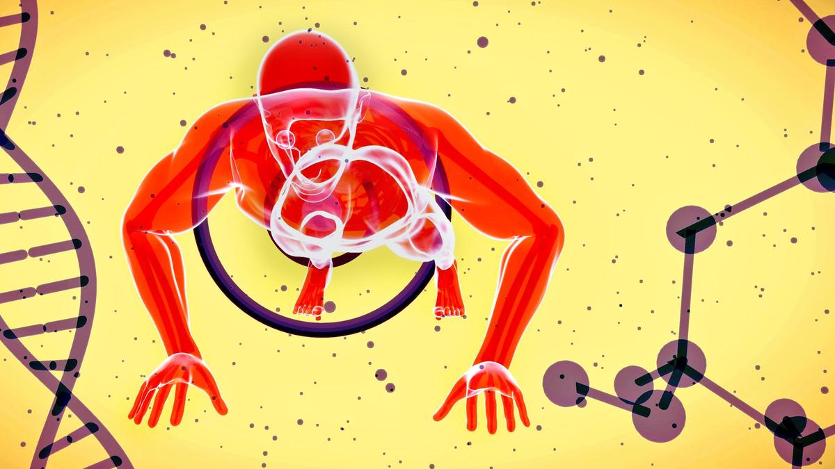 Vitamin D3 Proven Superior to D2 for Muscle and Heart Health: ICMR-NIN Study Reveals