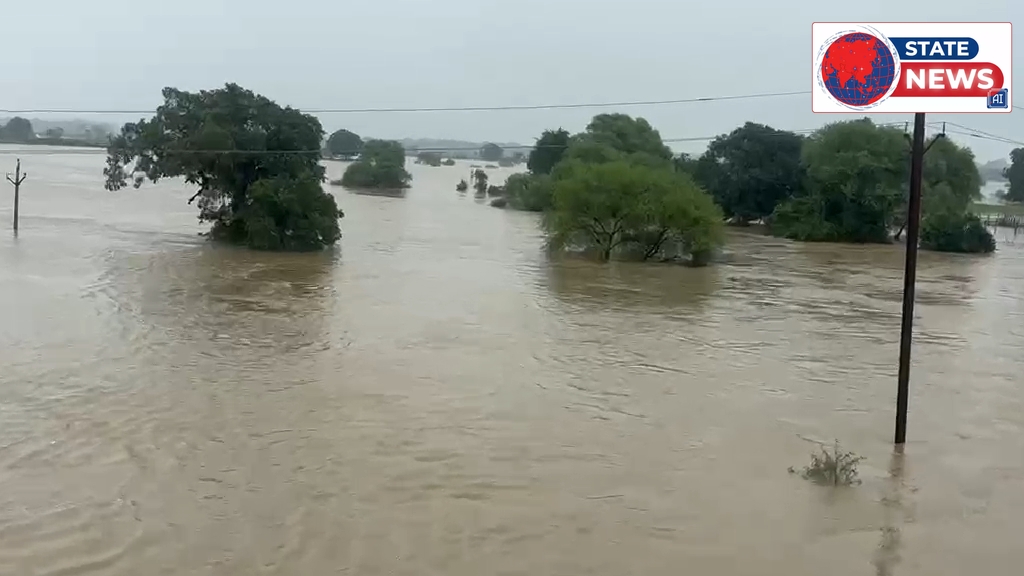 त्योंथर में बाढ़ का तांडव—सड़कें बनीं दरिया, 40 गांवों का संपर्क टूटा, बिजली सप्लाई ठप और जान बचाने को छतों पर चढ़े लोग