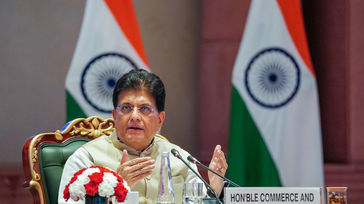 India-U.S. Trade Deal Hinges on Preferential Rate Offer: Goyal