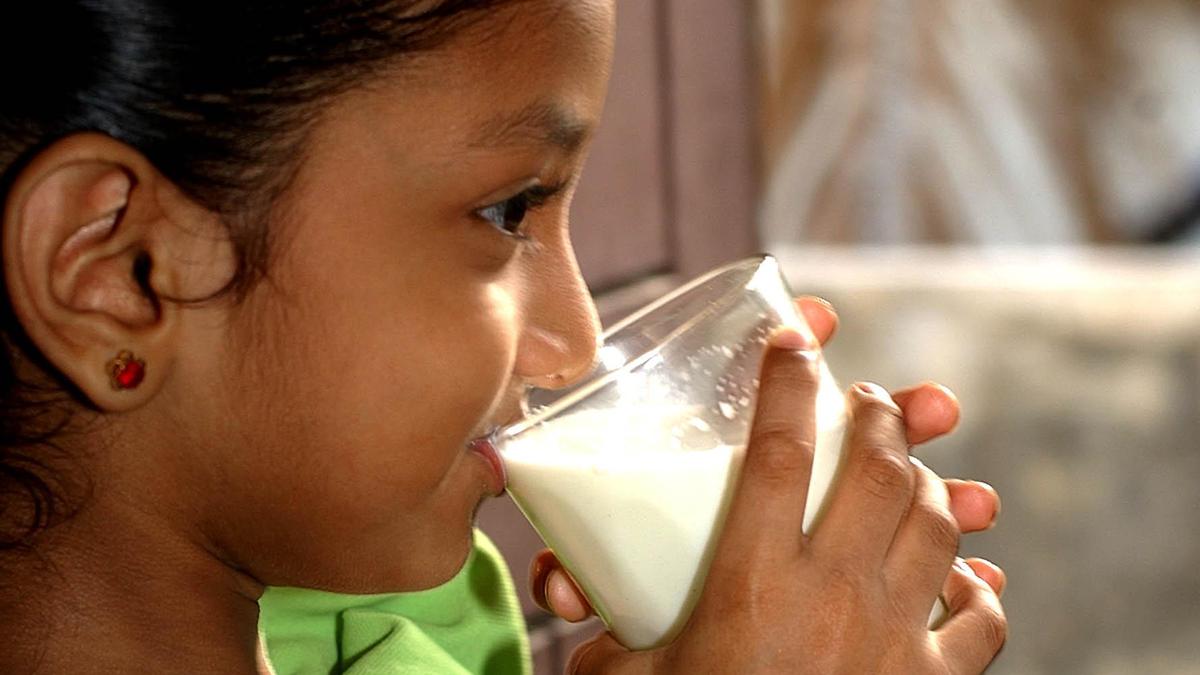 Expired Infant Food Seized from British Life Sciences in Bengaluru Bust