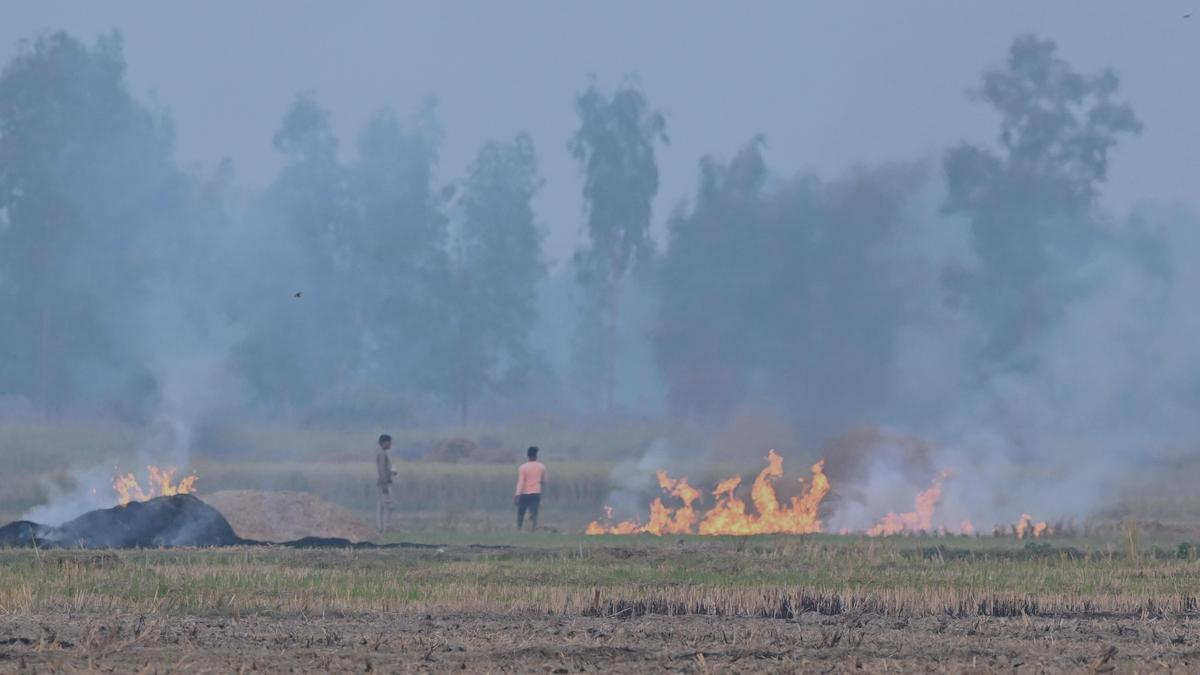 CAQM Collaborates with Punjab and Haryana to Refine Stubble Burning Estimation Methods