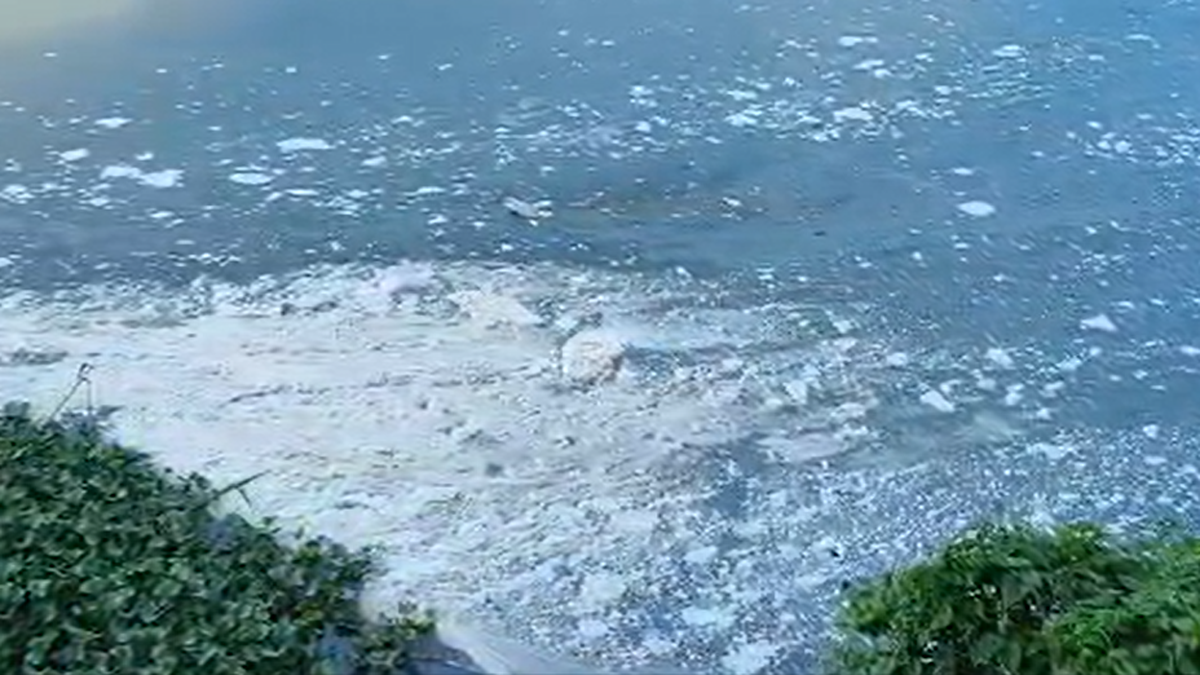 PCB Shuts Down Edayar Chicken Rendering Unit Over Periyar River Pollution Concerns