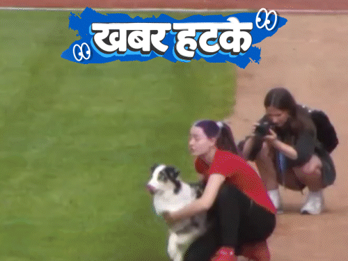 भैंस का बर्थडे धूमधाम से मना: डॉगी की छलांग और बोलते डस्टबिन ने खींचा ध्यान