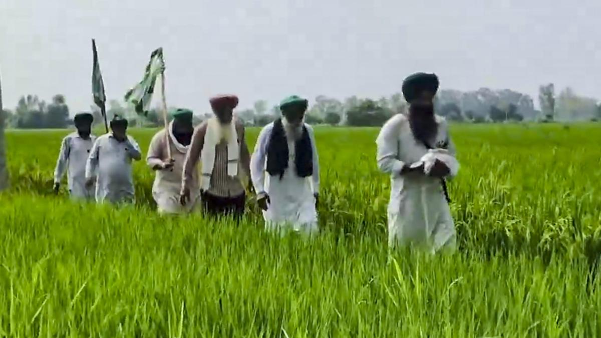 Farmers' Union to Rally One Million Volunteers Against Controversial Trade Agreements