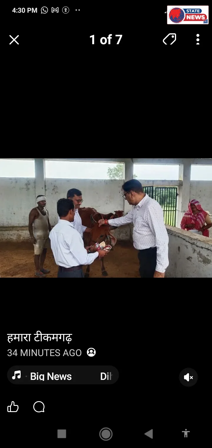 *जन्माष्टमी पर कलेक्टर ने क्षीरधारा गौशाला में किया गौ-पूजन, व्यवस्थाओं का लिया जायजा*  *टीकमगढ़।* शासन के निर्देशानुसार जन्माष्टमी के पावन 
