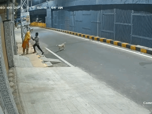 तमिलनाडु में कुत्ते ने महिला को यौन उत्पीड़न से बचाया, मानसिक रूप से विक्षिप्त व्यक्ति को भगाया