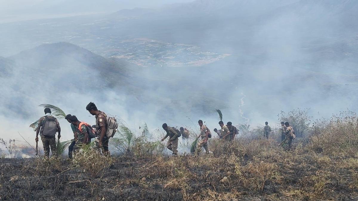 Blaze in Sathyamangalam Tiger Reserve Extinguished After Intense Three-Day Battle