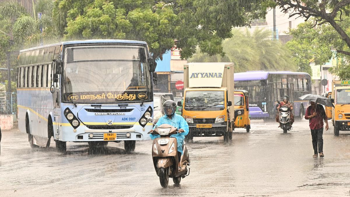 Scorching Heat Persists Across Tamil Nadu; Some Districts to Receive Light to Moderate Rainfall