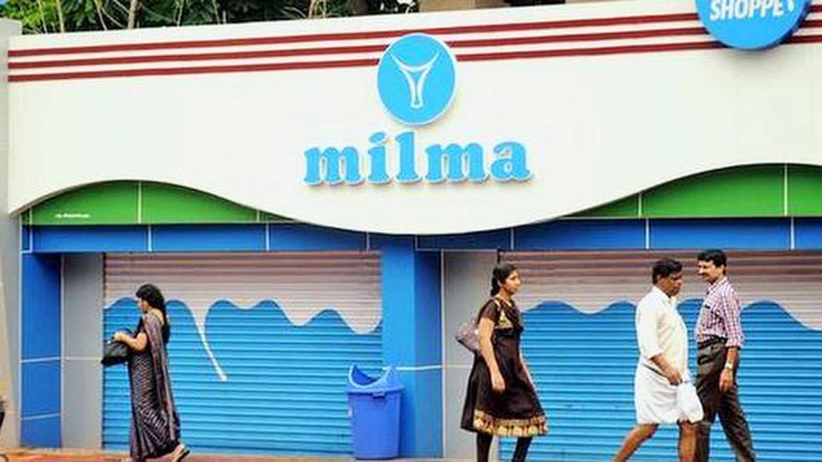 Malabar Milma Boosts Kerala Dairy Farmers with ₹1.72 Crore Cattle Feed Subsidy