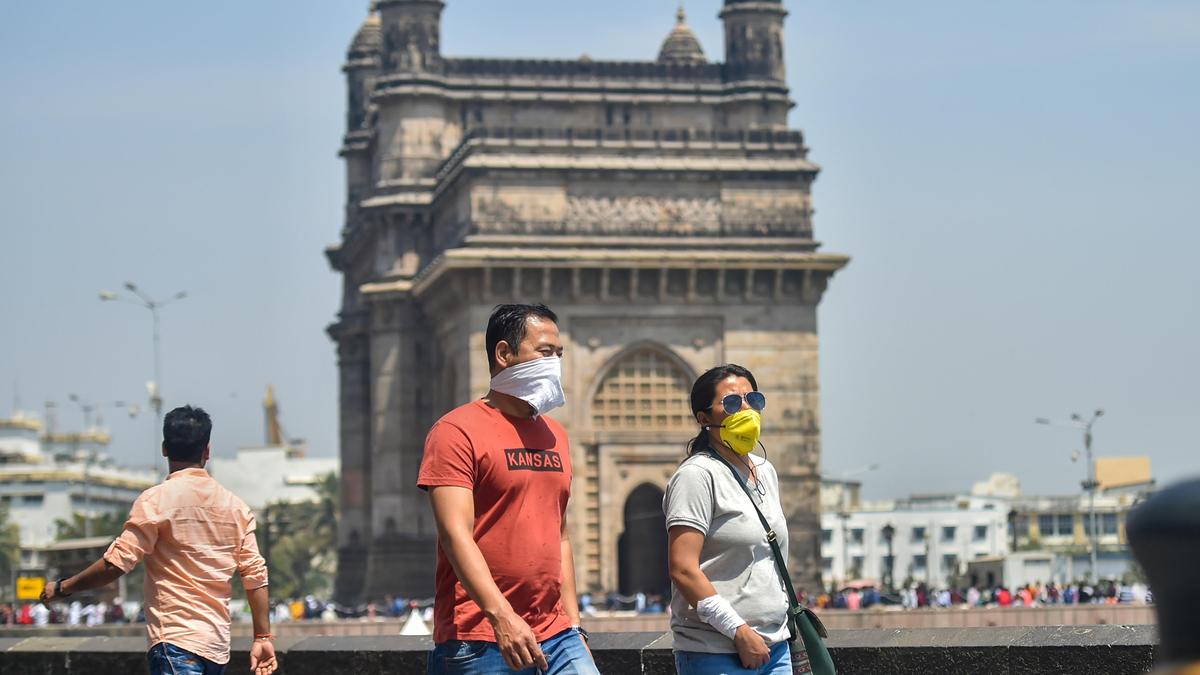 Swine Flu Cases Skyrocket to 441 in Mumbai, Health Authorities on High Alert
