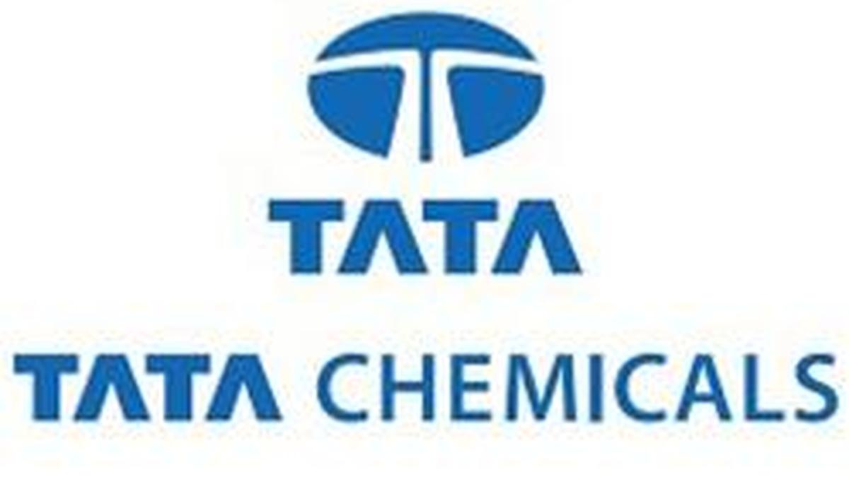 Kenya Shuts Down Tata Chemicals Unit Amid Environmental Concerns
