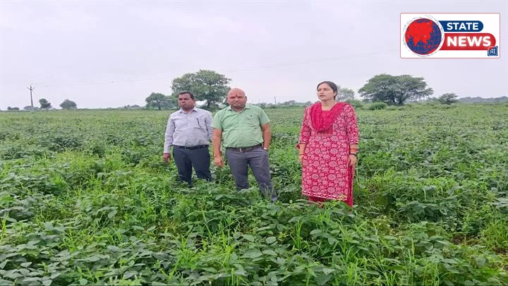 विदिशा में एसडीएम और तहसीलदार ने किया सोयाबीन फसल का निरीक्षण