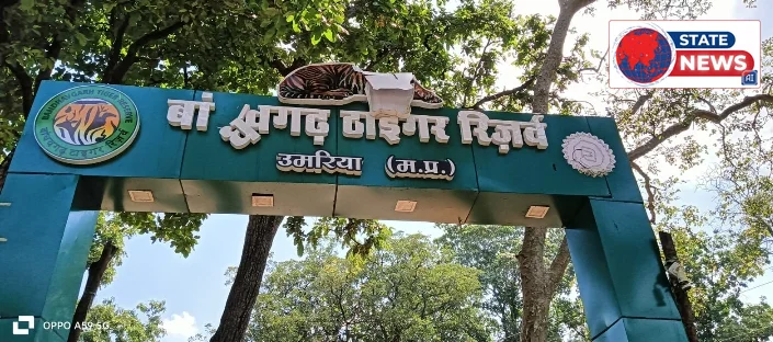 *बांधवगढ़ में ‘रक्षक’ ही परेशान, फिर आंदोलन की तैयारी* *दैनिक वेतनभोगियों का आरोप—पीएफ, वेतन-भत्ते और सुरक्षा के सवाल वर्षों से लंबित; एक सप