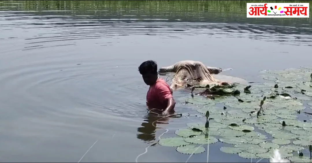Jabalpur News: पानी में उतराती मिली बुजुर्ग की लाश, क्षेत्र में फैली सनसनी; एएसपी ने दिए जांच के निर्देश