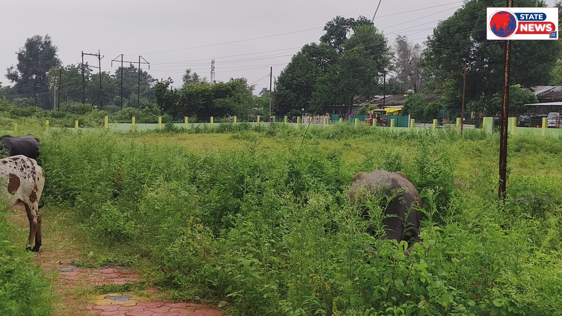 मवेशियों का बना अड्डा 33 लाख 80 हजार रुपए की लागत से बना ग्रीन स्पेस गार्डन