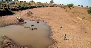 हीरे से ज़्यादा महंगी है पेड़ों की ऑक्सीजन! 17,000 पेड़ कटेंगे, तो...