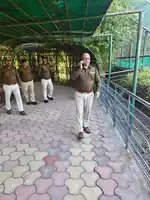 नववर्ष के मौके पर मैहर में पुलिस अधीक्षक ने टाइगर सफारी का निरीक्षण, सुरक्षा व्यवस्था का जायजा लिया