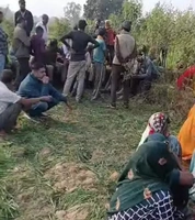खेतों में बिछी मौत: जंगली सूअर नहीं, इंसान फंसा — देवगांव घोपारी में करंट ने ले ली जान