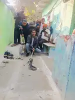 नीचे मां बच्चे को सुला रही थी छप्पर में दिखा कोबरा सांप और फिर