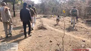 वन विभाग की कार्रवाई: वन्य प्राणी के शिकार पर दो गिरफ्तार