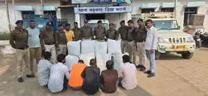 दो पिकअप–एक स्कॉर्पियो में तस्करी, 133 किलो गांजा जब्त; छह तस्कर गिरफ्त में