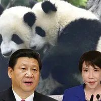 चीन ने जापान से वापस मांगे अपने जुड़वा पांडा:आखिरी बार देखने पहुंचे हजारों लोग; 50 साल बाद बिना पांडा के रह जाएगा जापान