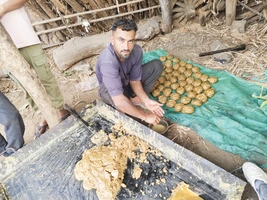 मिलावटी दुनिया में आज भी यहां बन रहा  शुद्ध देसी गुड़...