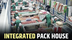 बागवानी फसलों के बेहतर रख-रखाव के लिए सरकार देगी अनुदान, आवेदन प्रक्रिया...