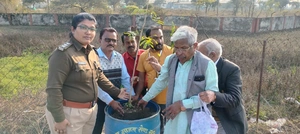 बृक्ष | बेगमगंज में सियावास समिति के पौधरोपण कार्यक्रम का दूसरा चरण संपन्न हुआ आत्मीय जनों ने पर्यावरण संरक्षण की शपथ ली