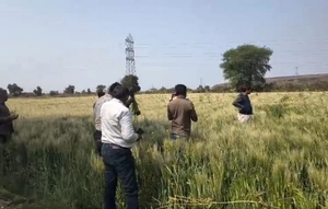 दीवानगंज में फैक्ट्री के धुएं से फसल को नुकसान, कृषि वैज्ञानिकों ने किया निरीक्षण।