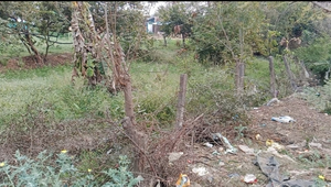 महिला की शिकायत पर ग्राम पंचायत खकरिया में निकला अतिक्रमण आधा एकड़ भूमि पर प्रशासन की जांच की मांग