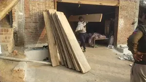 वन रक्षक निलंबित सागौन कटाई मामला बफर क्षेत्र में अवैध कटाई भारी मात्रा में सागौन जब्त  पर्यावरण संरक्षण पर सवाल उठे