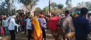 नादान भगोरिया मेला में उमड़ा जनसैलाब, आदिवासी संस्कृति और परंपराओं की अनूठी झलक