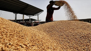 कांग्रेस विधायक ग्रेवाल का CM को पत्र