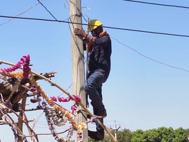 बकाया बिजली बिल पर गिरी गाज, दीवानगंज–सागोनी में 25 उपभोक्ताओं के कनेक्शन डिस्कनेक्ट