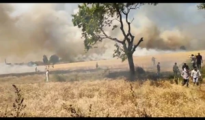 सीहोर जिले में नरवाई जलाने पर कलेक्टर ने लगाया प्रतिबंध, नरवाई जलाने पर होगी कार्यवाही