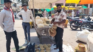 गणगौर पर्व का आगाज कल से, माता की बाड़ी में सात दिन...