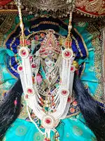 बीजासनी मंदिर में चैत्र नवरात्र की तैयारियां जोरों पर