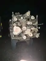 आलोट में लकड़ी माफिया पर प्रशासन का हंटर: SDM रचना शर्मा की...