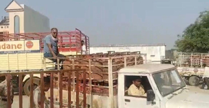 मनगवां-गंगेव में गैस सिलेंडर को लेकर संकट, सुबह भोर से एजेंसियों के बाहर लगी लंबी कतारें*