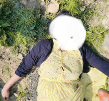 मोहब्बत बनकर खींच लाई मौत, असम की राजीना बेगम की लाश मिली भेरूंदा की अम्बर नदी में बॉयफ्रेंड ने भाई के साथ मिलकर ली जान