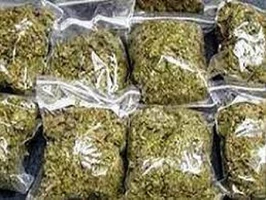 सागर जिले में अवैध कारोबार पर जनता में आक्रोश