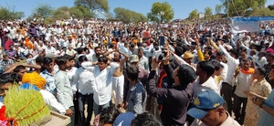 नहीं बदलेगा देश का राजा सोयाबीन में होगी ईल्ली की बीमारी भावों  में रहेगी वृद्धि