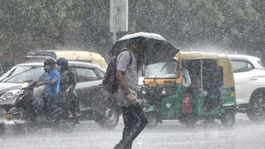 सीहोर में तेज बारिश, चने के आकार के ओले गिरेः अगले एक दो दिन ओर बारिश होगी,